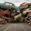 The Hidden Dangers of Keeping Junk Cars on Your Property