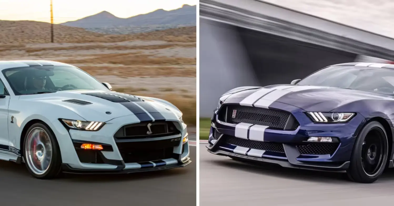 Shelby Mustang 3 Shelby Mustang